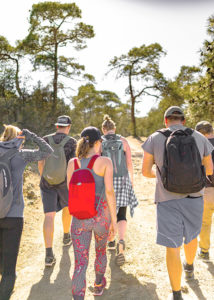 Wandern in den Bergen